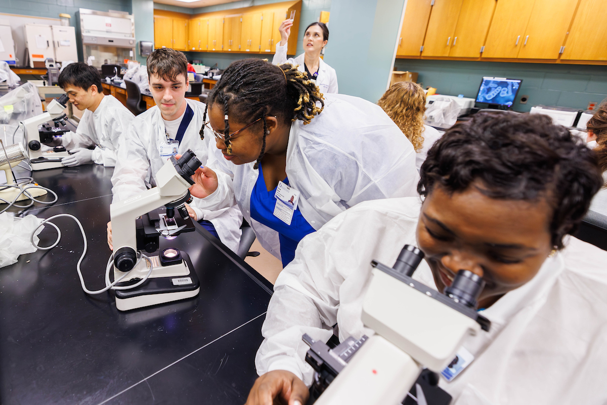 UMMC Academic Affairs tweet media