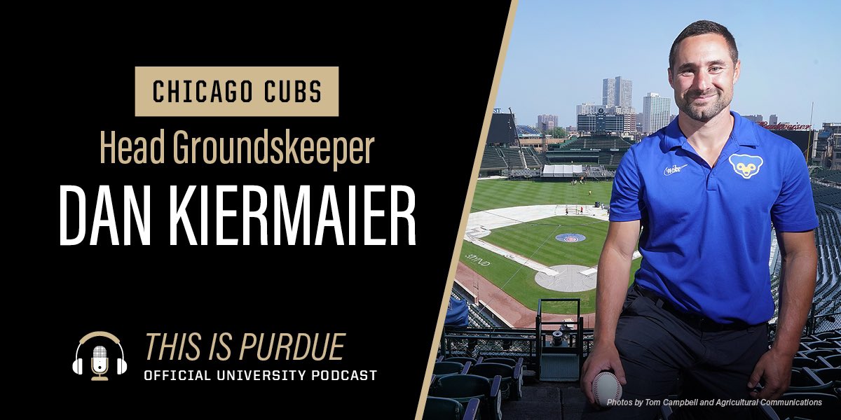 Purdue Agriculture (@purdueag) on Twitter photo Come behind the scenes of Wrigley Field with #ThisIsPurdue! <a href="/Cubs/">Chicago Cubs</a> head groundskeeper and <a href="/PurdueHortLA/">Purdue Horticulture and Landscape Architecture</a> <a href="/PurdueAgAlumni/">Purdue Ag Alumni</a> Dan Kiermaier gives an inside view of what turf science looks like at the second oldest <a href="/MLB/">MLB</a> ballpark in the country. ⚾️
Listen: stories.purdue.edu/podcast/dan-ki… Come behind the scenes of Wrigley Field with #ThisIsPurdue! <a href="/Cubs/">Chicago Cubs</a> head groundskeeper and <a href="/PurdueHortLA/">Purdue Horticulture and Landscape Architecture</a> <a href="/PurdueAgAlumni/">Purdue Ag Alumni</a> Dan Kiermaier gives an inside view of what turf science looks like at the second oldest <a href="/MLB/">MLB</a> ballpark in the country. ⚾️
Listen: stories.purdue.edu/podcast/dan-ki…
