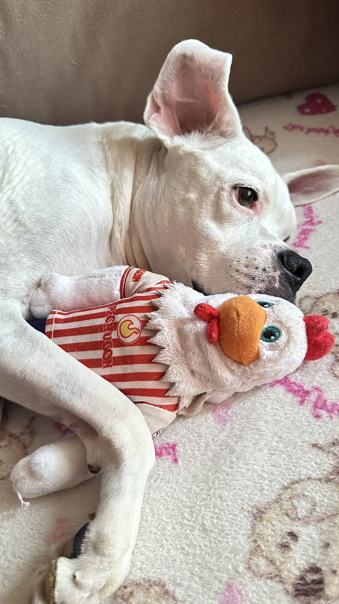 Desde que nací soy albirrojaaaaa 🇵🇾🙌🏻
<a href="/PechugonPy/">Pechugon</a> <a href="/Israelyubero/">Israel</a>