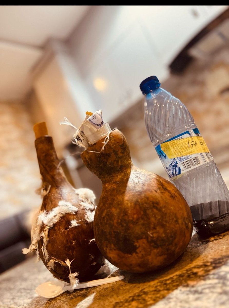 animolenikun's tweet photo. IFÁ MEDICINE (ÀKÓṢE)

    Iṣẹṣe Yorùbá Religion (IYR)spirituality extend its tentacles just to care for human lifestyle, the most important parts that we can over emphasize is that of medicine”AKOSE”

   Ifá Medicine:  refers to health practices, approaches, knowledge and beliefs incorporating plant, animal and mineral based medicines, spiritual therapies, manual techniques and exercises, applied singularly or in combination to treat, diagnose and prevent illnesses or maintain well-being.
   
    The diagnosis, prognosis ,prevention, palliation are arrived at ,during the process of IFÁ divination exercise. These process tends to expose the client to understand above physical realms , the genesis of his/her predicament and solution to eradicate such predicaments. 

     However, each of the IFÁ verses consist of medicine which solves all forms of human health issue which varies from economic imbalances, unstable relationships,non-profitability in one business,  enmity ,enviness , jealousy , resistance to environmental hazards, loss of life and properties, protection, longitivtiy,rejuvenate,victory, luck,separation of evils,conceive, e.t.c

    As far as Yorùbá Medicine is concerned , it extend to all the sectors because every individuals need healer ,  in one way or the others, Our community, state, nation, continent and whole world need healing. 

      We can’t escape from the so called AJOGUN’S(EVILS),because they were messanger of Eledumare designed to acts as a distractors and punish whoever deviates from rights to wrong.  

   The Ajogun appears in spiritual realm and as well as physical realm. Many people sees themselves as someone who is completely okay, yet they will be battling with one or more predicaments at point in time.
       
    We only believe that healings are only carried out for those who are not as fits as fiddle .This assertion is not valid because everyone need healing , meaning that if you are saved from one problem another one will come .  The facts is that “Tibi tire la dá ayé’’ both good and bad controls the universe.

Administration of Ifá/Indigenous Medicine(Akose):

-Soap(Ọṣẹ):Used to wash whole or part of the body e.g spiritual cleansing.

-Powder(Ẹbu): usually prepared with end products to be in powdery forms ,via grinding or burning processes .

-Soup(Àsèjẹ):Prepare inform of stew and consumed by the client for specific purpose 

-Syrup(Àgbo): 
Type(A)Viscous: usually available for drinking or rub some part of the body .
Type(B)Volatile:usually liquids and could be drink , using to wash part of the body or whole .

-inhaler(Ẹ̀fín): draw up air audibly through the nose to consume the drug.

-Cream(Ìpara):preparation applied to the skin.

Bracelet(Ìfúnpá/Ìgbàdí):usually works for protection.

Conclusions and Recommendations :

-Globalization and Civilization shouldn’t stop you from administering  your Indigenous herbs and medicines.

-Indigenous medicine should be combine with that of western medicine in combatting unknown Infections and diseases .

-A lot of predicament can’t be solve via western medicine , perhaps you need indigenous medicine to tackle such . “Ẹni tí ayé ńṣe, tí ńlo ògùn ẹ̀jẹ̀" He who suffering from spiritual attacks and he is treating it with blood tonic .

-Indigenous medicine are not bad, just that we see it as been fetish . Fetish is a deceive language use to brainwash us just to ignore our medicine and adopt the foreign medicine.

-Every medicine are prone to expire and activeness of a medicine depends on individual body composition, what works for A might not work B. That is why diagnosis is advisable before prescribed any medicine.

-Do you know that drug abuse and addictions are also peculiar to indigenous medicine. Don’t use without your healer instructions.

-Government should encourage traditional healer by preparing a budget that will funds research Institute for upgrading and updating knowledge about Indigenous medicine.
