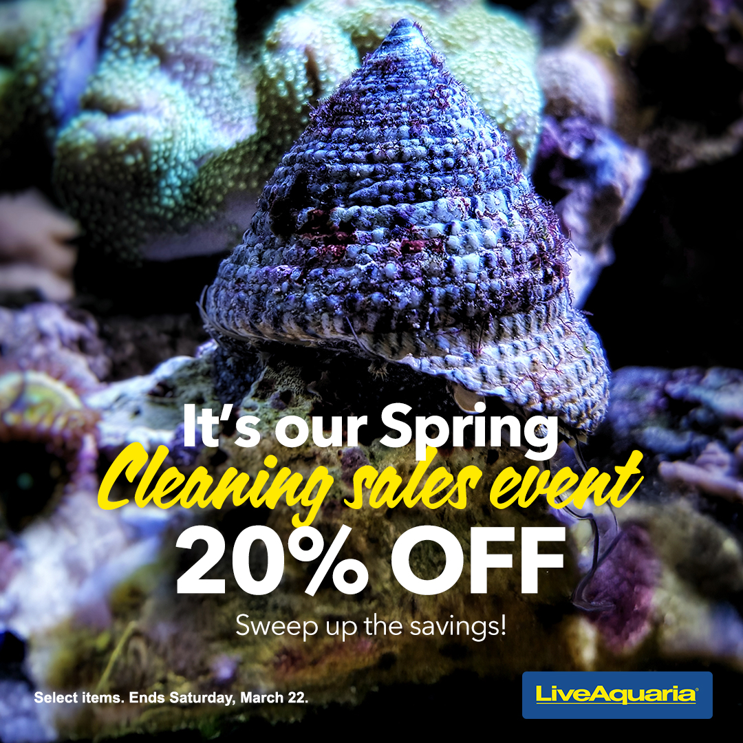 LiveAquaria's tweet photo. What do Crabs, Clams, Snails, Urchins, and Anemones have in common? Select species are 20% off during the Spring Cleaning Sales event! Mop up the savings and spruce up your tank!
https://t.co/zzqO46ntgF
#invert #saltwaterinvert #marineinvert #invertsale #crab #clam #snail https://t.co/OHnCrcGdEf