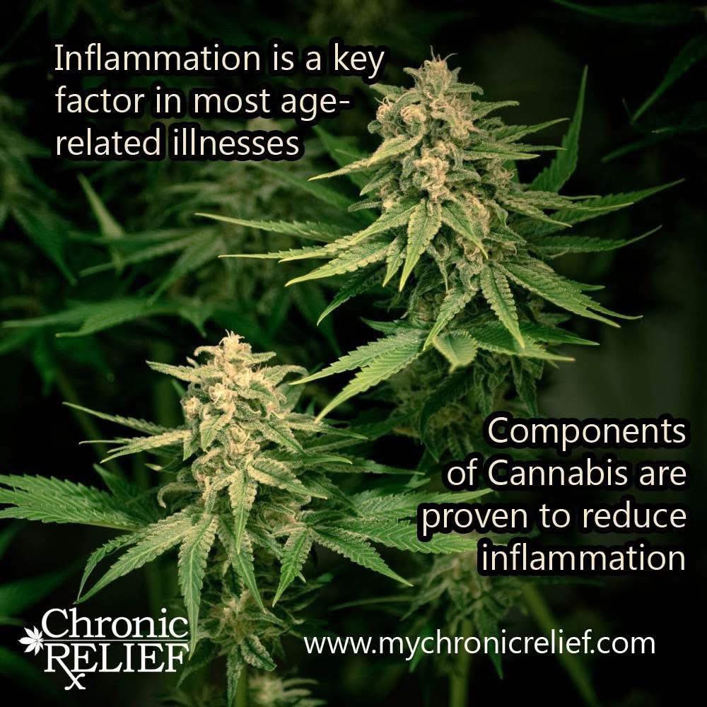 True story…The Federal Government actually had (expired) patent for #Cannabis as an anti-inflammatory…true story. #LegalizeIt #CannabisCommunity #Mmemberville