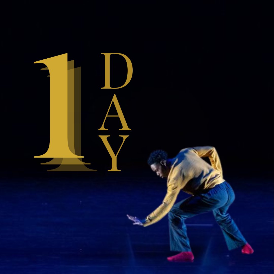 Dance Canvas tweet media