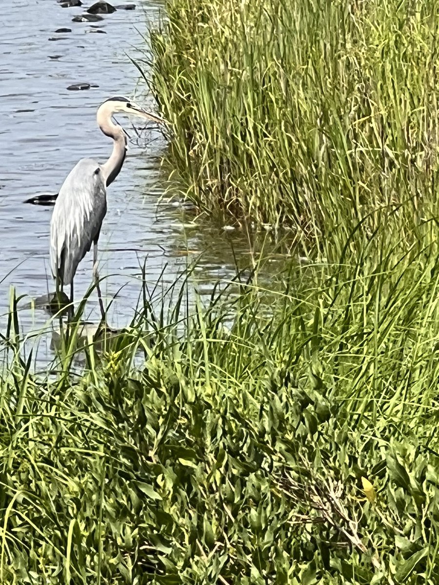 Good morning beautiful