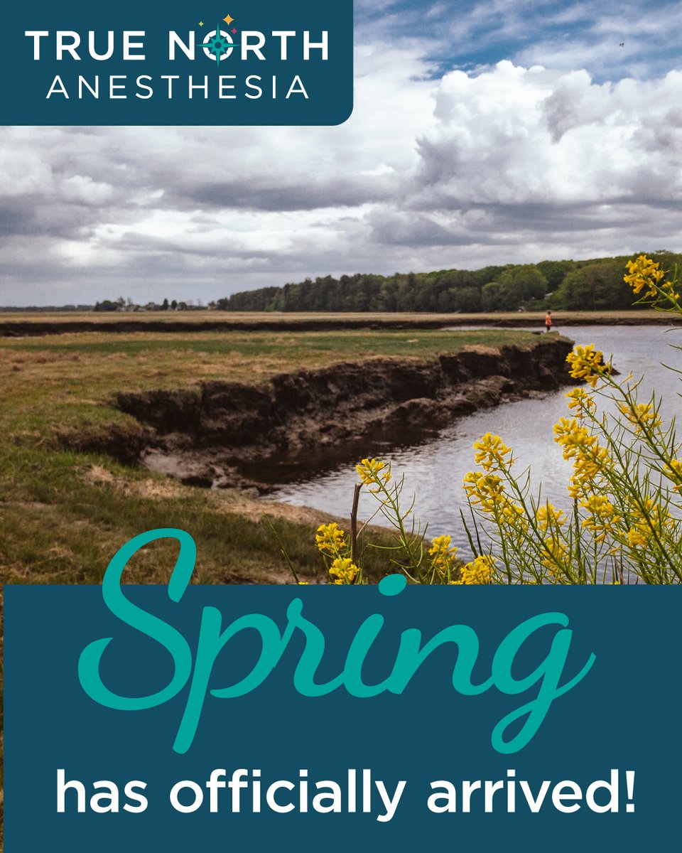Spring has arrived! 🌸 As the snow melts and the first signs of green emerge, Maine comes alive with stunning landscapes, outdoor adventures, and a renewed sense of energy. It’s the perfect time to embrace new opportunities! #Spring #Maine #SpringInMaine
