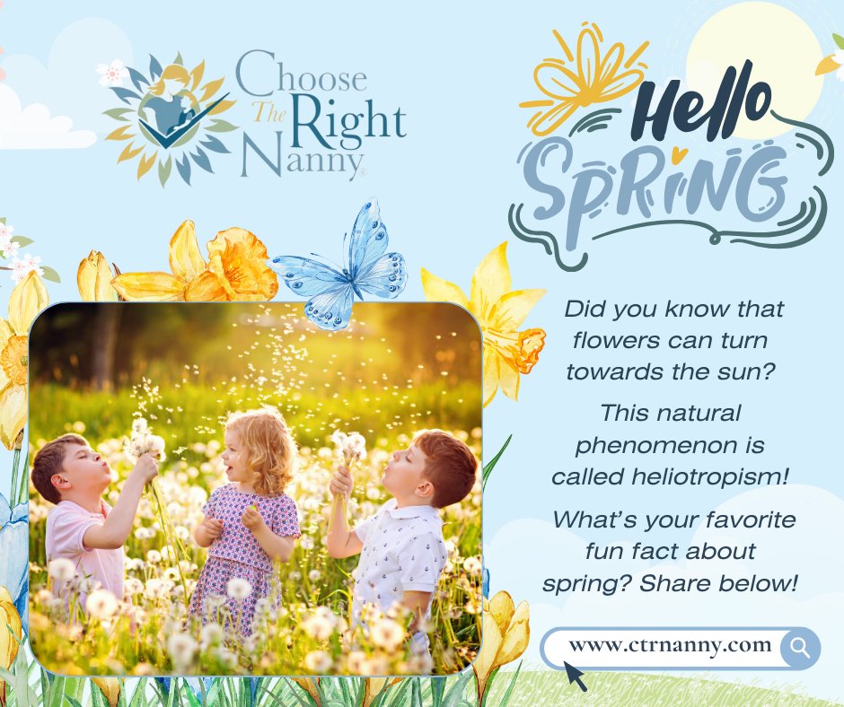 CTRNanny's tweet image. 🌸 Hello, Spring! 🌞 Did you know that flowers can turn towards the sun? 🌻 This natural phenomenon is called heliotropism! What’s your favorite fun fact about spring? Share below! ⬇️ #SpringFacts #WelcomeSpring