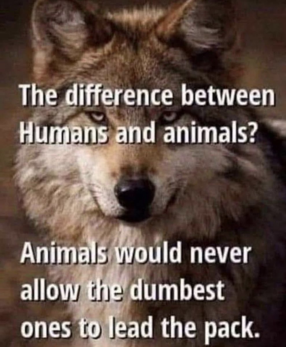 So true