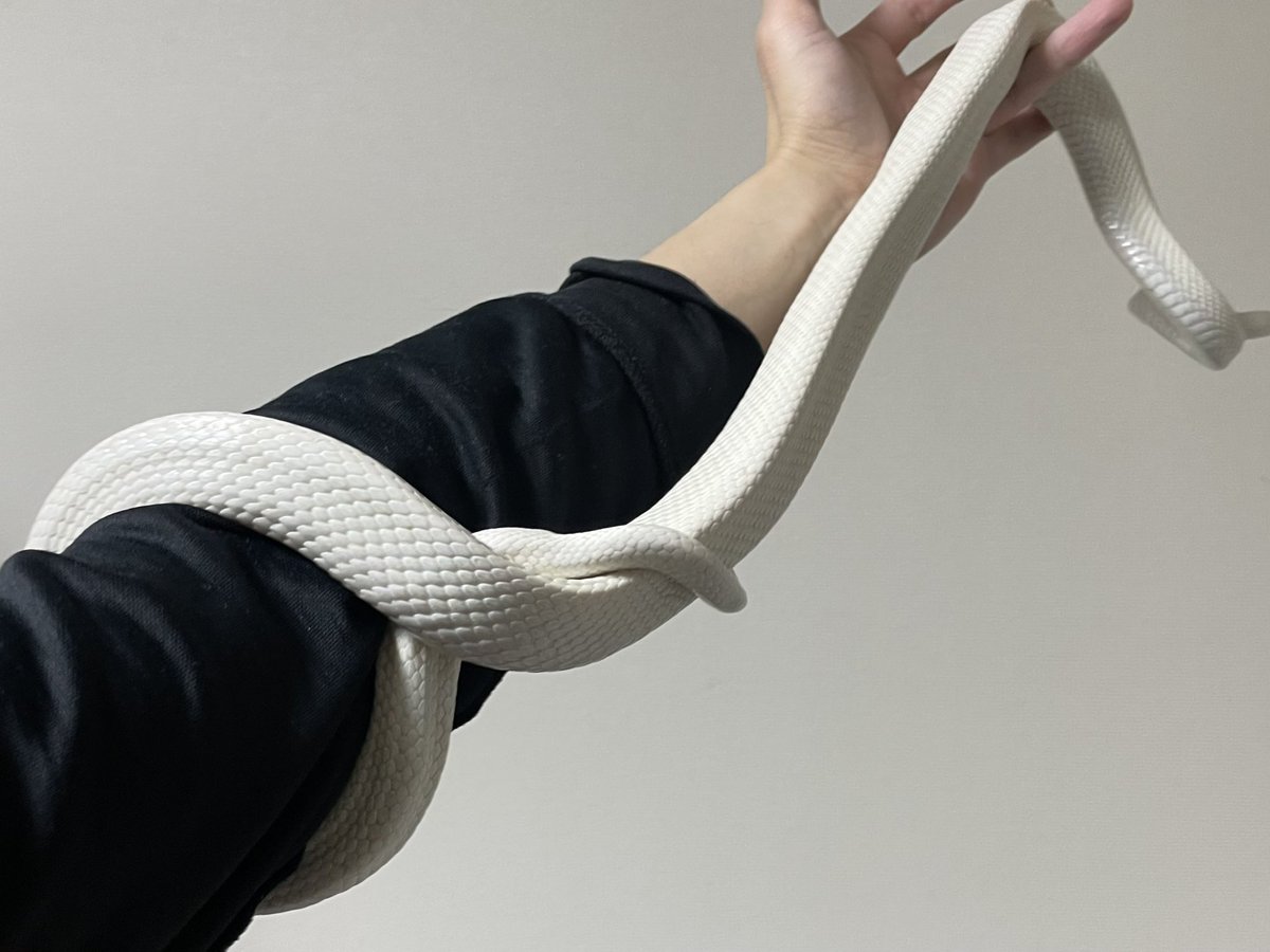 すだち tweet media