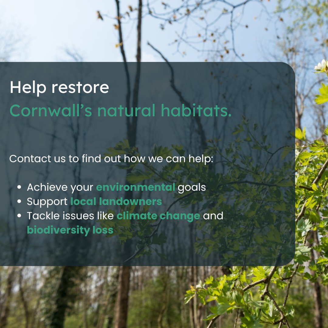 EnTradeUK's tweet photo. We're looking for 10 progressive businesses who are interested in meeting their environmental goals and supporting natures recovery in #Cornwall. 
 
If you want to learn how we can help you tackle climate change and biodiversity loss, please get in touch.

https://t.co/E1MKLggPgW https://t.co/762NkdFHsK