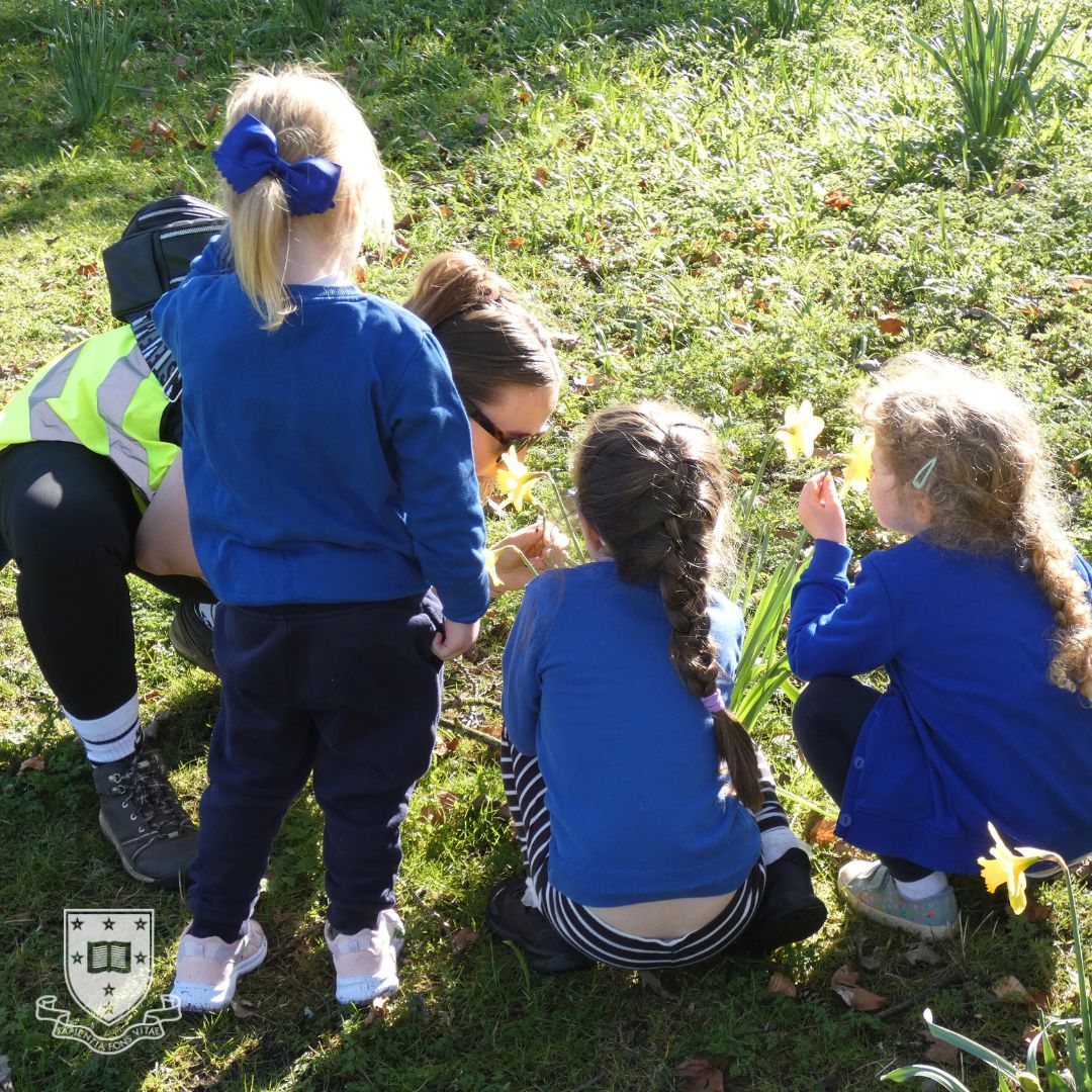 Trent College tweet media