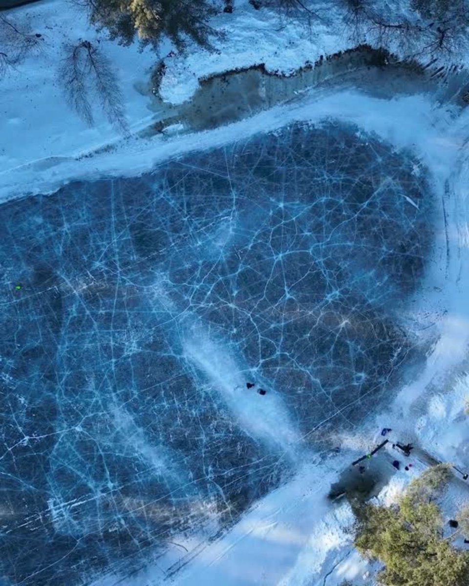 Dartmouth 🌲 tweet media