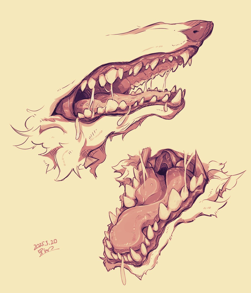 さとimo tweet media