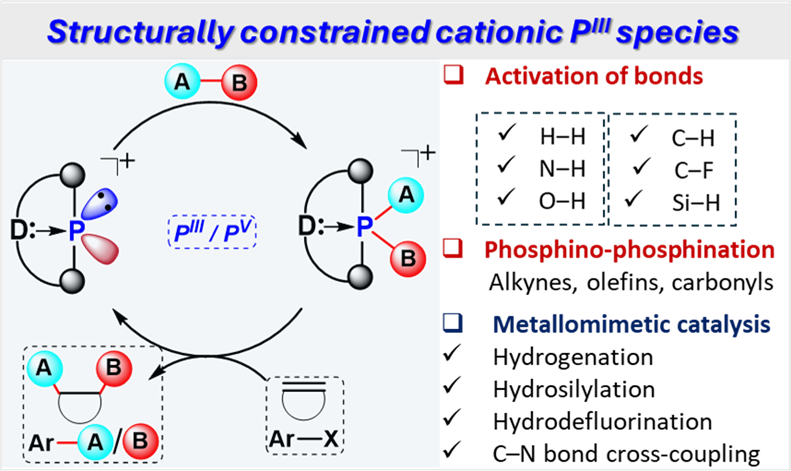 Dobrovetsky Group (@dobrovetskyg) on Twitter photo Our feature article in <a href="/ChemCommun/">Chemical Communications</a>’s #2025PioneeringInvestigators special issue on structurally constrained, cationic P(III) species is now online! It highlights a lot of our work in the field. Congrats to <a href="/Deependrabawari/">DP</a> & <a href="/DoniaToami99/">Donia Toami</a>!
pubs.rsc.org/en/content/art… Our feature article in <a href="/ChemCommun/">Chemical Communications</a>’s #2025PioneeringInvestigators special issue on structurally constrained, cationic P(III) species is now online! It highlights a lot of our work in the field. Congrats to <a href="/Deependrabawari/">DP</a> & <a href="/DoniaToami99/">Donia Toami</a>!
pubs.rsc.org/en/content/art…