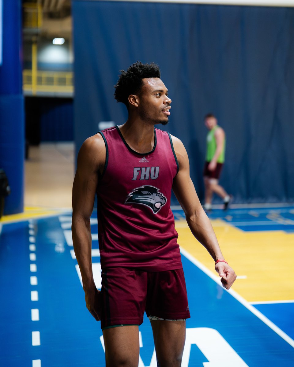 Familiar territory 📍

<a href="/gofhulions/">FHU Athletics</a> 
<a href="/FHULionsBBall/">FHU Basketball</a> 
<a href="/NAIAHoopsReport/">NAIA Hoops Report</a>