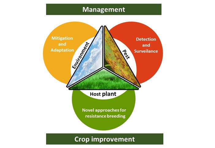Report and recommendations from the workshop ‘Gene editing in plant resistance against pathogens and pests’ of the EPSO Plant Health WG, next meeting online 21 October 2025. 

Learn more: bit.ly/4kJMUES 

#PlantScience #plantHealth #SDG #HorizonEU