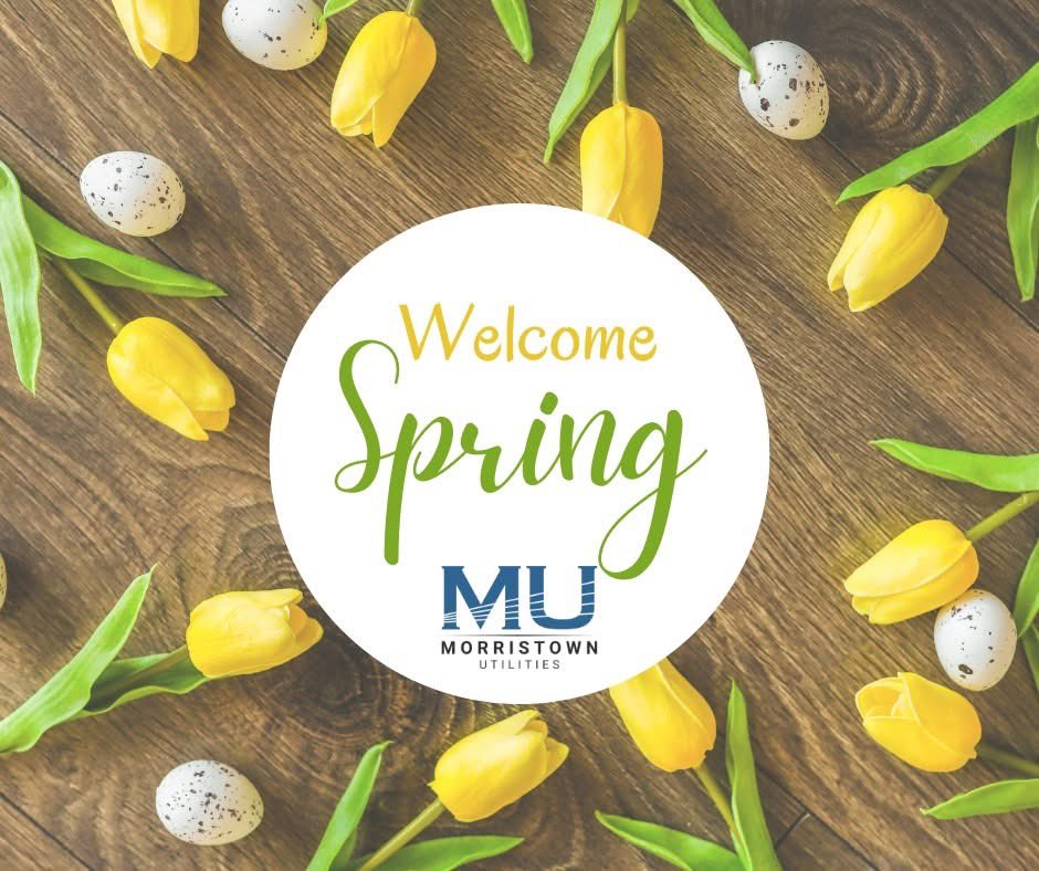 Spring is springing (we think)! Today is the first day of spring 🌸

Prep for warmer weather and make some small changes to save energy: Change your HVAC Filter, change ceiling fan rotation, and clean your dryer ducts!