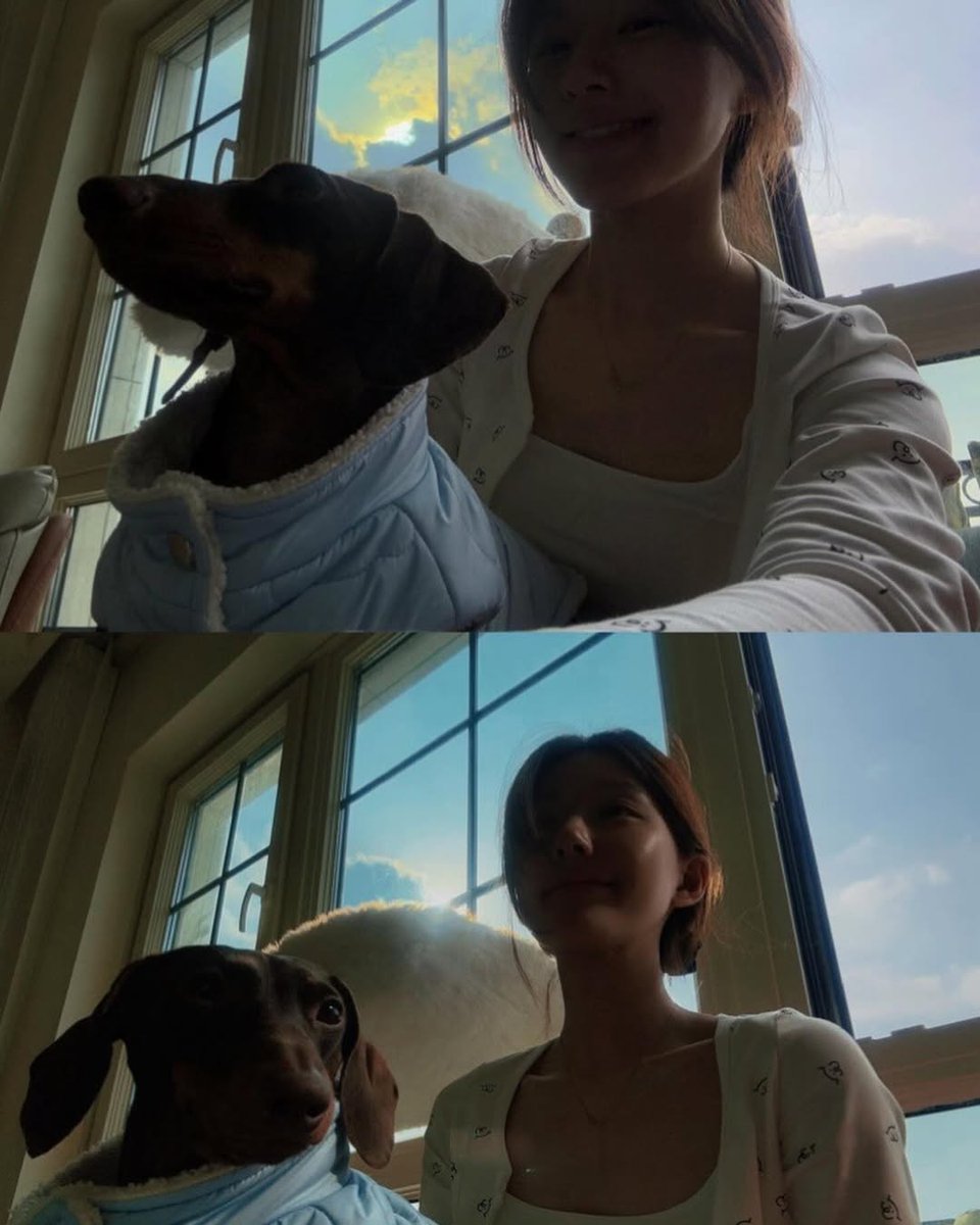 Basking in the golden glow, like a little sunbeam on a quiet morning.