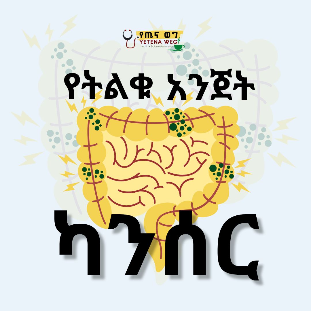 YetenaW's tweet image. 🌍 መጋቢት የትልቁ አንጀት ካንሰር ግንዛቤ ማስጨበጫ ወር ነው! 🎗
💙 የትልቁ አንጀት ካንሰር በአለም አቀፍ ደረጃ በካንሰር ከሚከሰቱ ሞቶች ምክንያት 2ኛው ነው። ስለዚህ አስቀድሞ ማወቅ ህይወትን ያድናል! ✅
ምልክቶቹን ይወቁ:
🩸ደም የቀላቀላ ሰገራ…