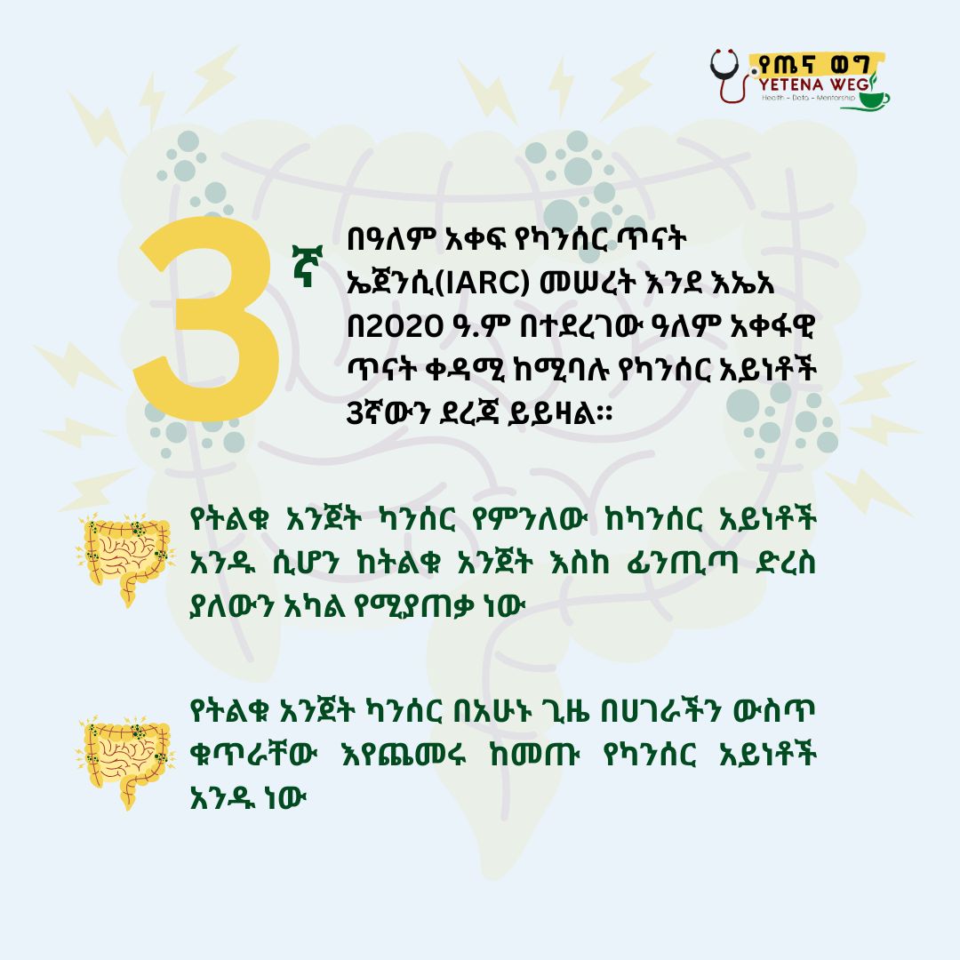 YetenaW's tweet image. 🌍 መጋቢት የትልቁ አንጀት ካንሰር ግንዛቤ ማስጨበጫ ወር ነው! 🎗
💙 የትልቁ አንጀት ካንሰር በአለም አቀፍ ደረጃ በካንሰር ከሚከሰቱ ሞቶች ምክንያት 2ኛው ነው። ስለዚህ አስቀድሞ ማወቅ ህይወትን ያድናል! ✅
ምልክቶቹን ይወቁ:
🩸ደም የቀላቀላ ሰገራ…