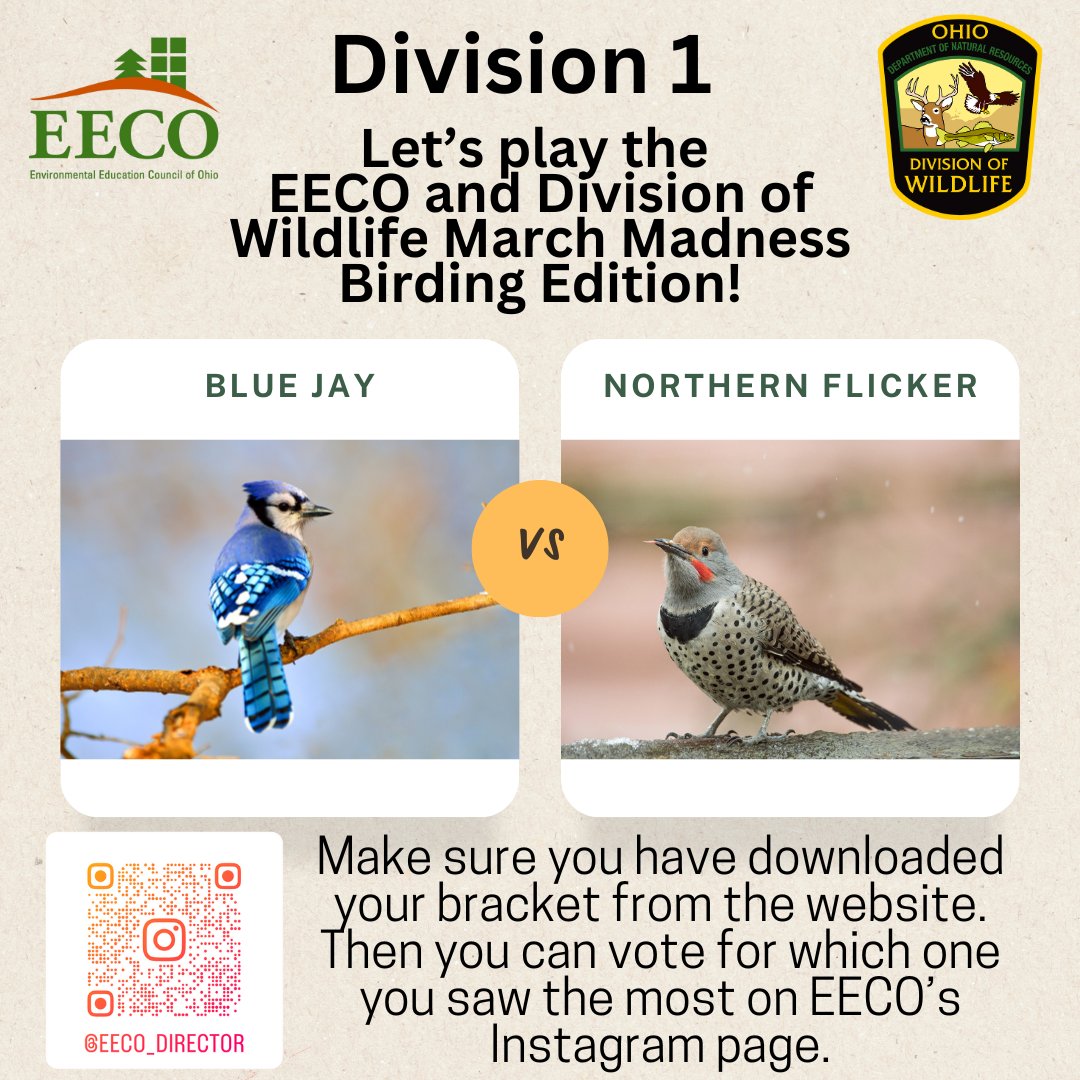 directorEECO's tweet image. Play along and let us know which bird you saw more by voting on our Instagram page. 
To learn about our March Madness Bird Brackets, go to: eeco.wildapricot.org/page-1786411

#getoutside #marchmadnessbirdbracket #BirdingFun
