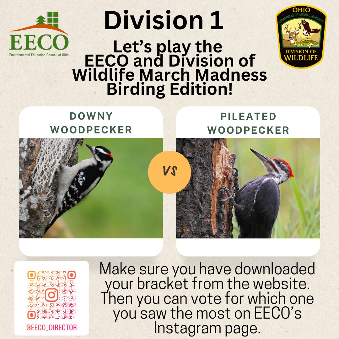 directorEECO's tweet image. Play along and let us know which bird you saw more by voting on our Instagram page. 
To learn about our March Madness Bird Brackets, go to: eeco.wildapricot.org/page-1786411

#getoutside #marchmadnessbirdbracket #BirdingFun