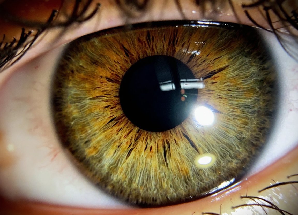 OffworldAndre's tweet photo. Been a while, but trained a new lora on awesome https://t.co/L0bU47po2A
Basically shot a lot of eyes. Check out the description on civit: https://t.co/QgMrroKiQZ
#AIart #ComfyUI #flux #flux1 #CivitAI #Glif https://t.co/1u2093goXr