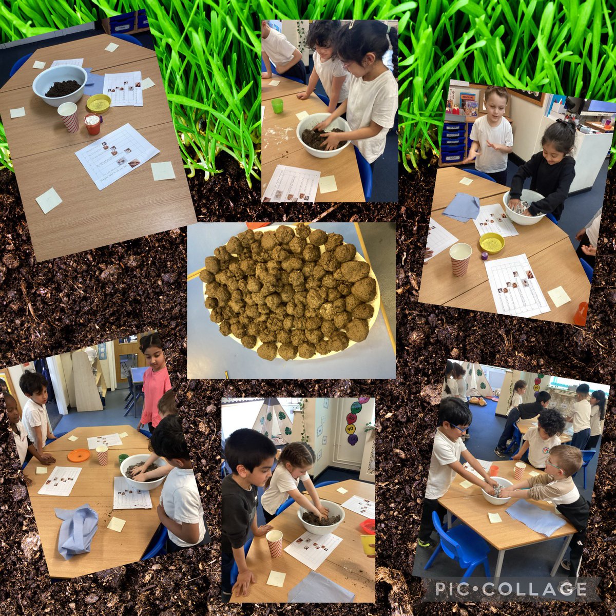BPClass12's tweet photo. In Science we are looking at how to care for our world. We have been planting and making wild flower seed bombs to help encourage new life. 🌱💐 https://t.co/3NZMbw4RBv