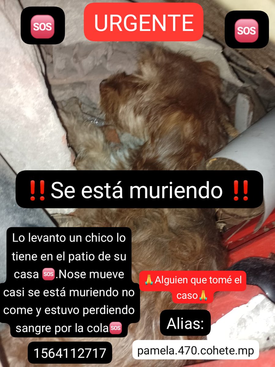 patripeyrou's tweet image. Difundimos