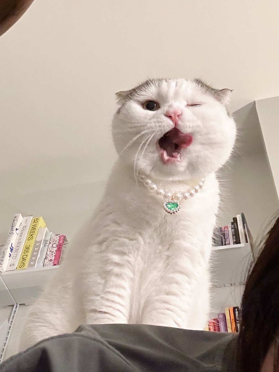 เส้นนี้แม่ซื้อให้คับ ไม่ได้ยืมใคร