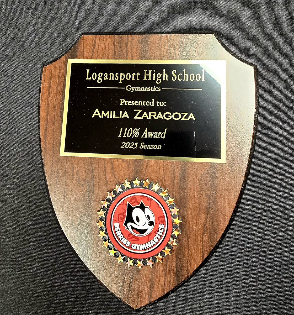 logangymnasts's tweet photo. Congratulations to Amilia Zaragoza for being our 110% award winner at our banquet! She earned this award by always going above and beyond and pushing herself to always accomplish more.  We are so Berry Proud of you! https://t.co/NSxP5I7NNl