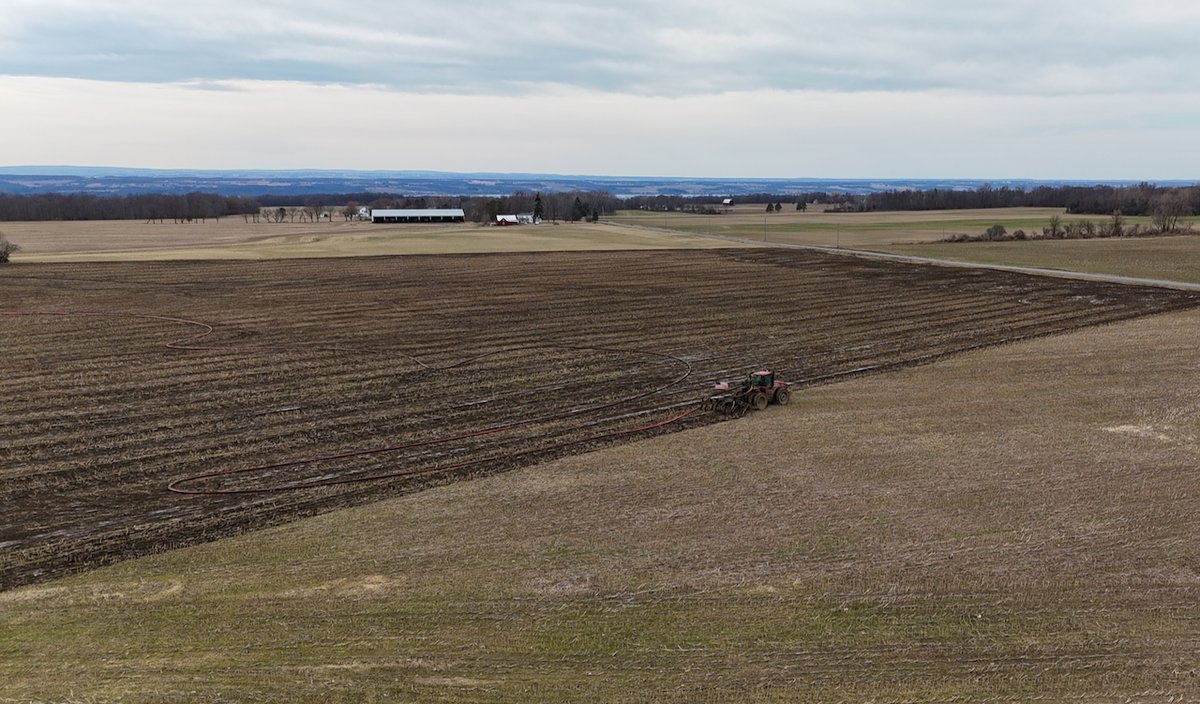 Winter-grain cover crops are about to start spring growth. Can slurry manure injection right now support higher biomass and N cycling next month? Here is a neighbor injecting corn stubble on a large scale. (See the hose snaking across the field.)