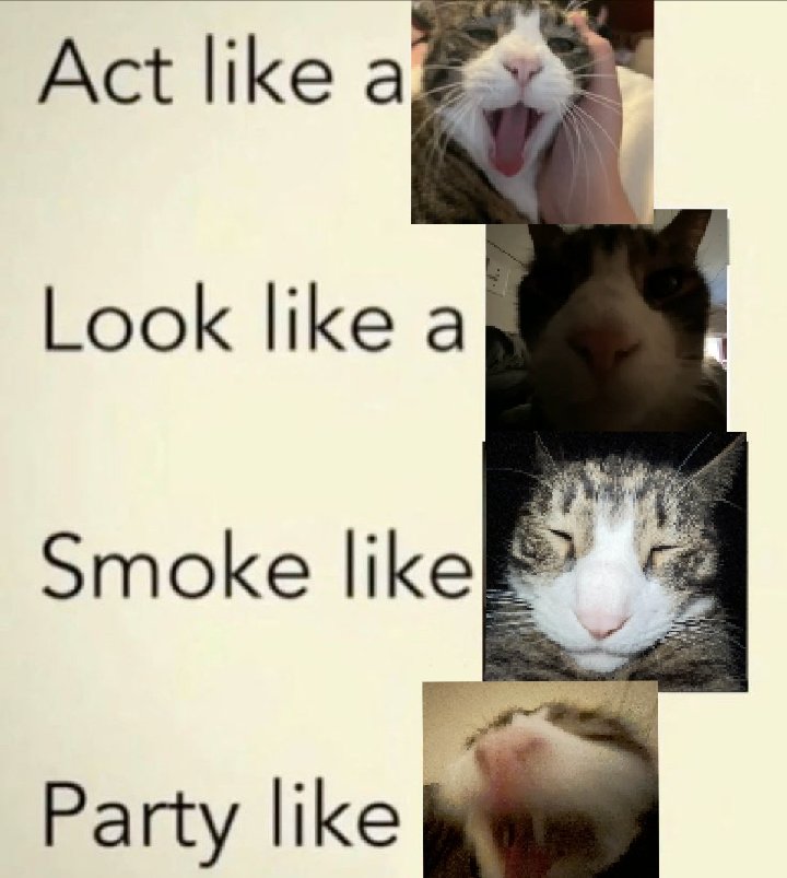 The Gun That Smokes tweet media