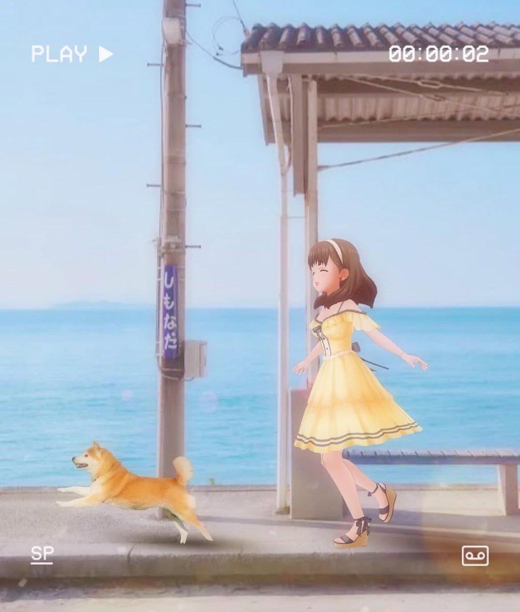 柴 tweet media