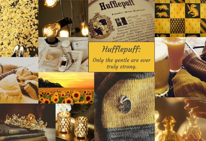 Hogwarts tweet media