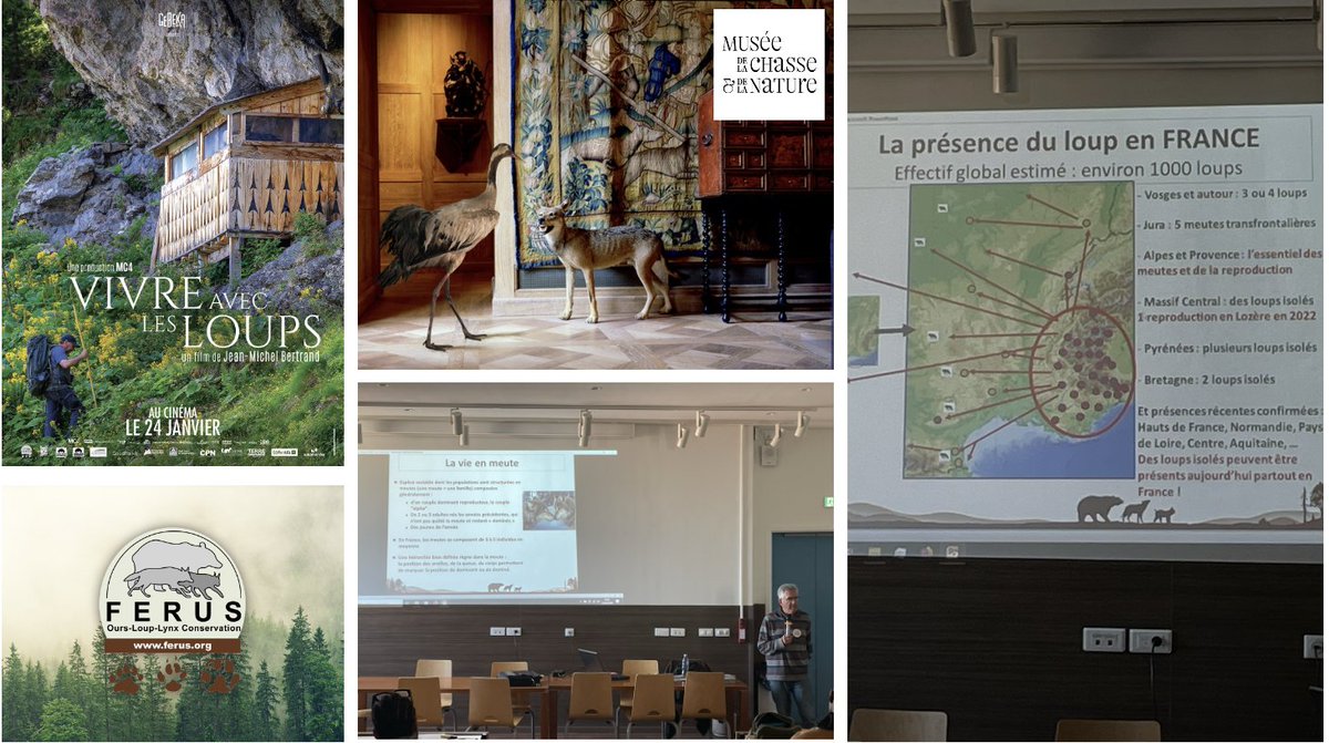 Mélie Jouassin (@jouassin_melie) on Twitter photo J 2⃣ ProjetACTE "Le loup des arts aux sciences" au <a href="/LangevinLycee/">Lycée Paul Langevin - Suresnes</a> / 1ère #HDA #SVT & #ArtsP
- Projection & débat autour du film "Vivre avec les loups"
- Conférence sur la situation du 🐺 en France par FERUS <a href="/OursLoupLynx/">FERUS</a>
- Visite au <a href="/ChasseNature/">Musée de la Chasse et de la Nature</a>
<a href="/daacversailles/">@DAACversailles</a> <a href="/gep_artspla/">Arts plastiques de l'académie de Versailles - GEP</a> J 2⃣ ProjetACTE "Le loup des arts aux sciences" au <a href="/LangevinLycee/">Lycée Paul Langevin - Suresnes</a> / 1ère #HDA #SVT & #ArtsP
- Projection & débat autour du film "Vivre avec les loups"
- Conférence sur la situation du 🐺 en France par FERUS <a href="/OursLoupLynx/">FERUS</a>
- Visite au <a href="/ChasseNature/">Musée de la Chasse et de la Nature</a>
<a href="/daacversailles/">@DAACversailles</a> <a href="/gep_artspla/">Arts plastiques de l'académie de Versailles - GEP</a>