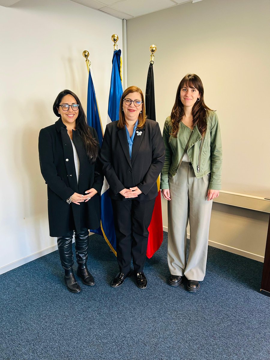 Embajadora Joan Cedano recibió en nuestra sede a representantes de @humanrightswatch para dialogar sobre la crisis haitiana y su impacto en RD. Se discutieron perspectivas del Gobierno dominicano y formas de cooperación internacional. 🇩🇴🤝🌍 #RDenBélgica #HumanRights