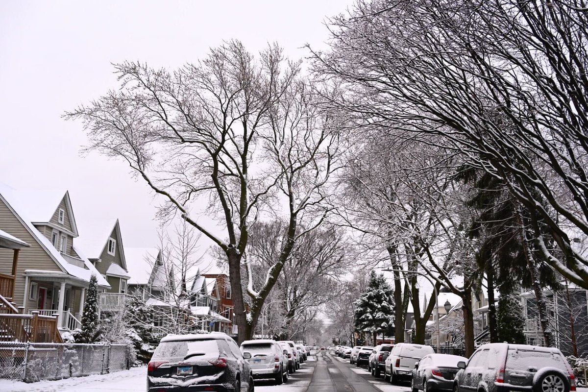 Happy first day of spring, Chicago