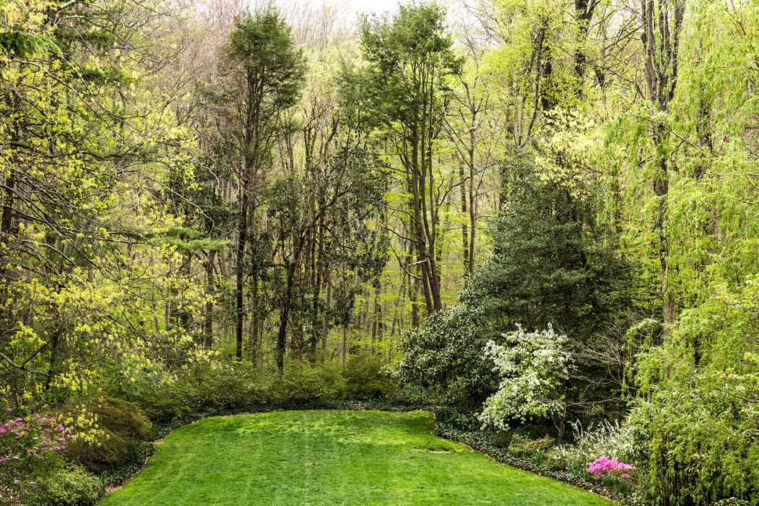 Welcome, spring! 🌷 We can’t wait to see the gardens in full bloom. 🌸

📷: Erik Kvalvsik