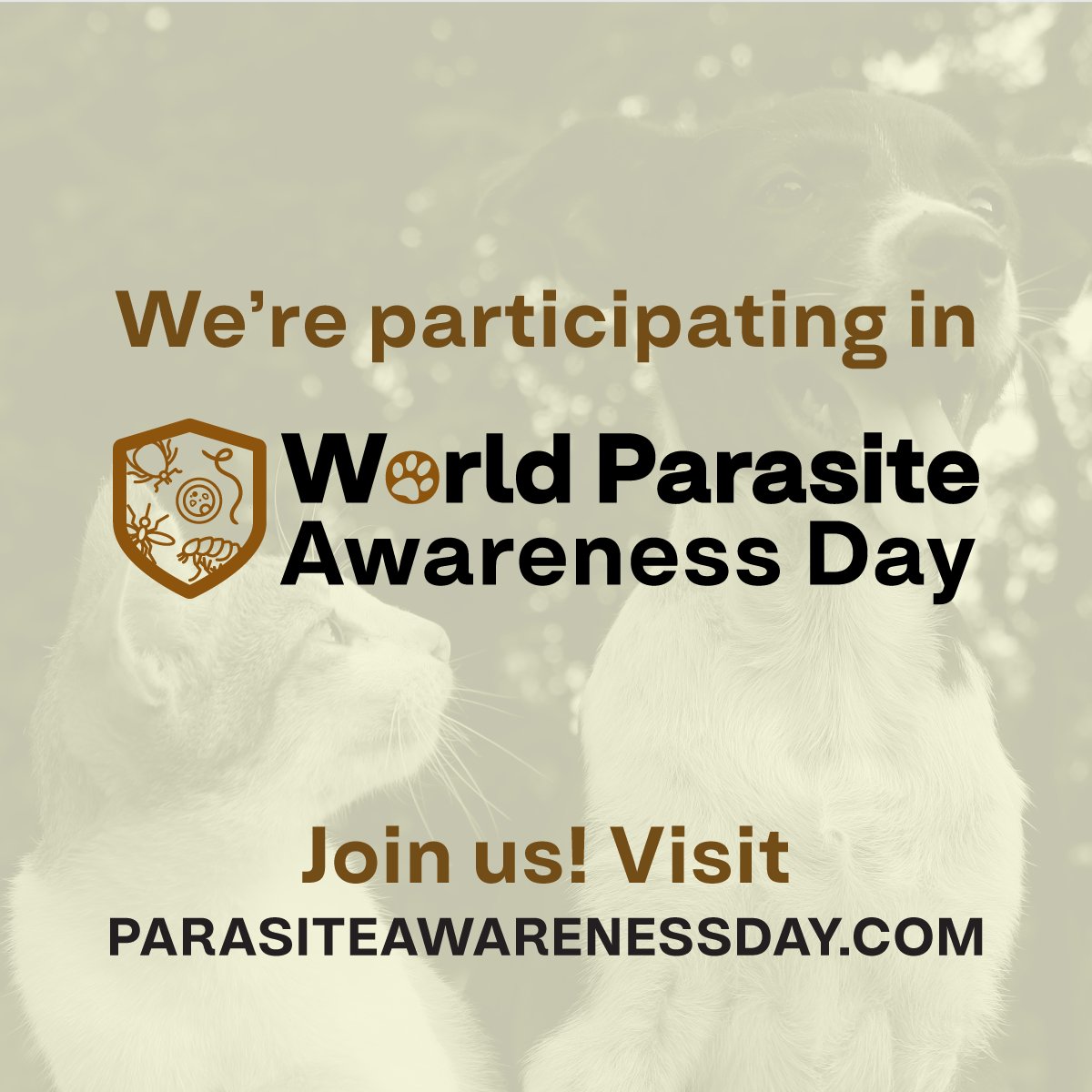 At Telenostic we develop the OvaCyte Fecal Analysis system.
We are dedicated to improving animal health through the accurate detection and measurement of intestinal parasites and empowering vets to make informed diagnosis for their patients.
#ParasiteAwarenessDay