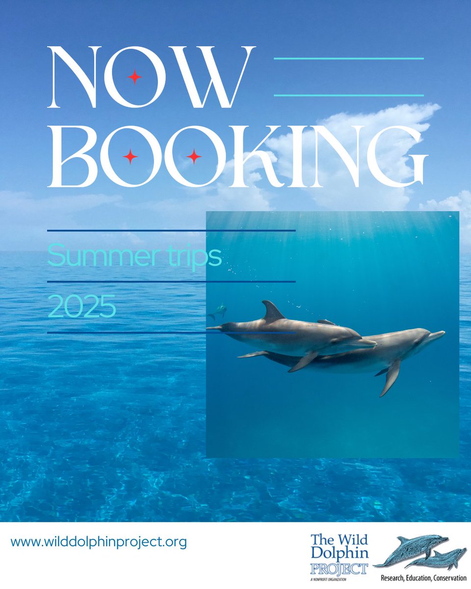 Happy first day of spring! That means summer is just around the corner — and our field season.

Do you want to join us and observe wild dolphins in the Bahamas? Be sure to sign up!

More information:

wilddolphinproject.org/participate/ba…