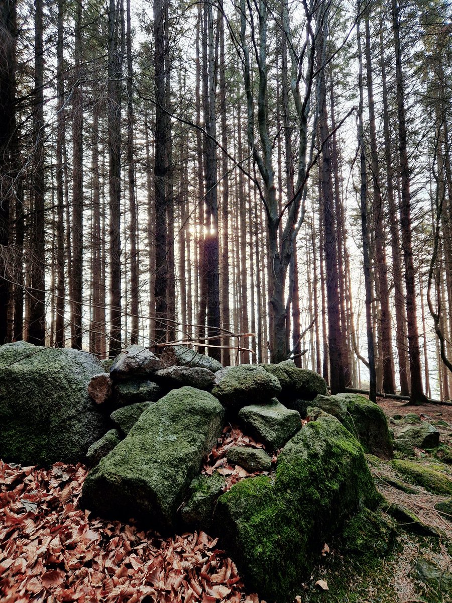 Vernal Equinox MMXXV