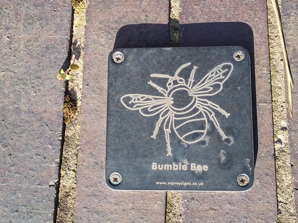Spring has sprung in the Garden for the Blind at Carlton Hill with colourful flowers and sensory improvements, such as harmony bells and rubbing plaques, for all to enjoy. Plan a trip to Carlton and visit the garden with your family and friends. Read more: orlo.uk/wPcCX