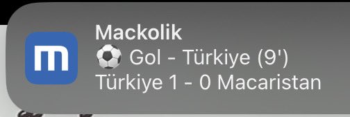 Urfa’da timsah🙄