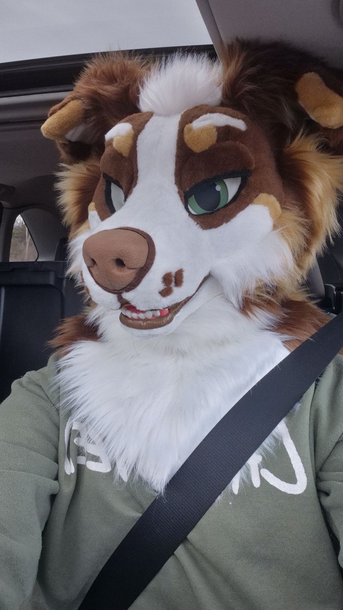 Coffee Addicted Dog tweet media