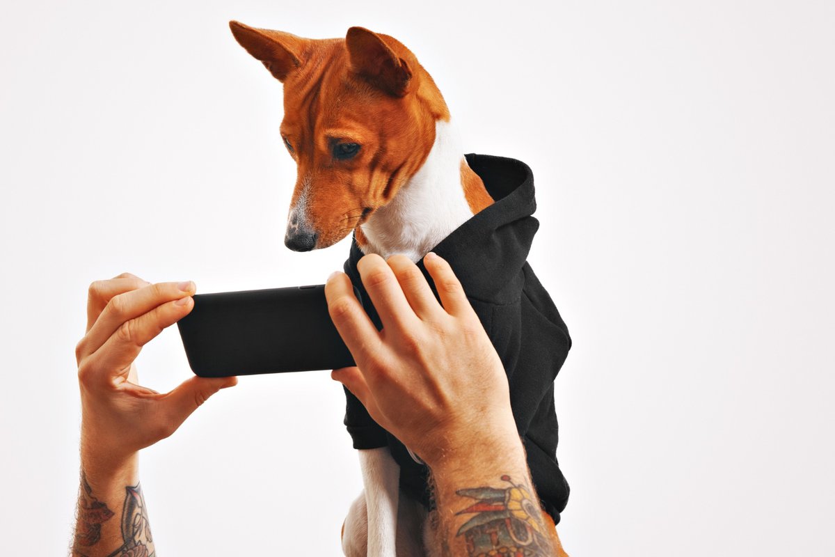 caesgatos's tweet photo. Dispositivo inovador conecta você ao seu pet e detecta ansiedade no animal #caesegatos #comunicacao #pets #paisdepet #tecnologia #petphone
https://t.co/Is1Pzp6UiY https://t.co/mi0gU3AIxO