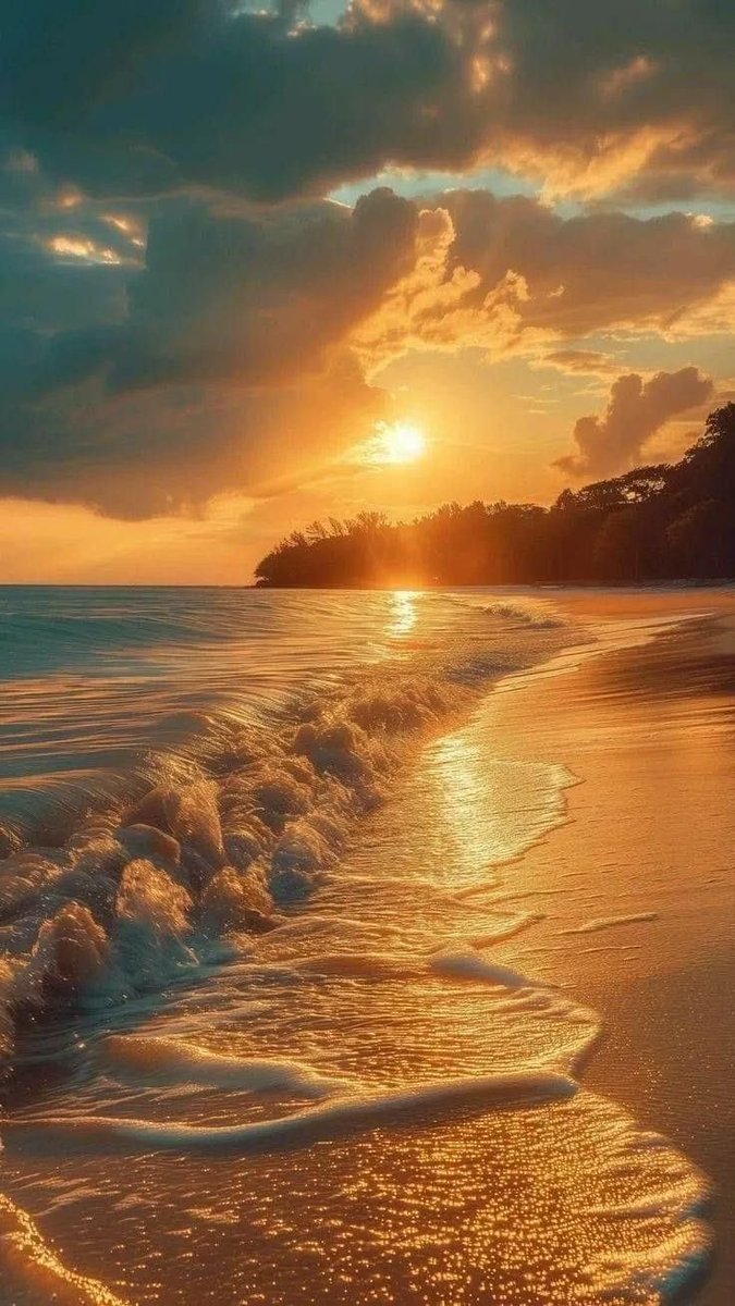 Aesthetics (@aestheticspost_) on Twitter photo 