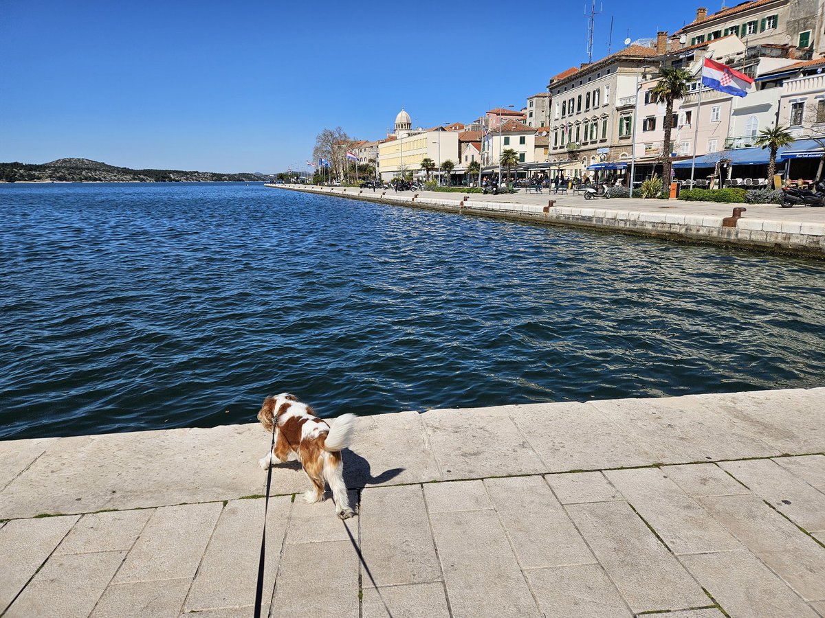 RJonTourUK's tweet image. Great 1st impression of Sibenik, the last city by the sea this trip for us....

#sibenik #Croatia #traveltribe