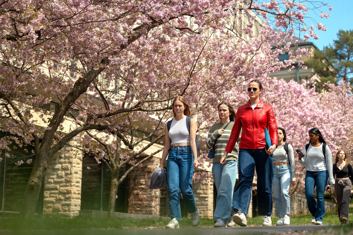 Cornell's tweet image. Welcome, spring! We're ready for more moments like these. 🌸 🌼 ☀️