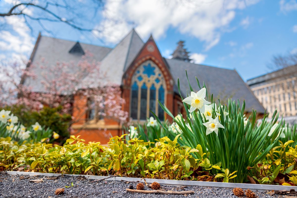 Welcome, spring! We're ready for more moments like these. 🌸 🌼 ☀️