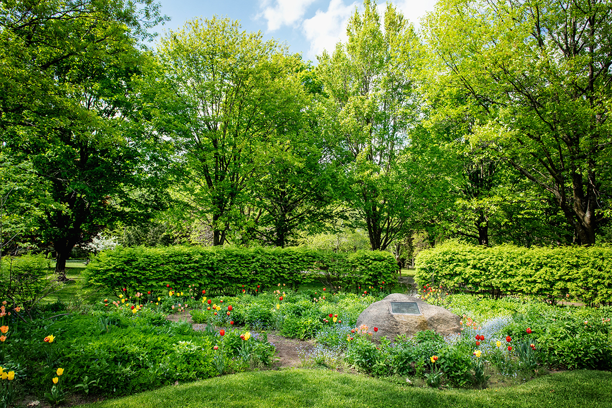 tourismbarrie's tweet image. Spring is here! 🌸 Time to shake off winter &amp;amp; explore all that Barrie has to offer — trails, patios, local gems &amp;amp; fresh air adventures. Your spring getaway starts now! 

#VisitBarrie #GetOutAndPlay #ExploreBarrie #HelloSpring